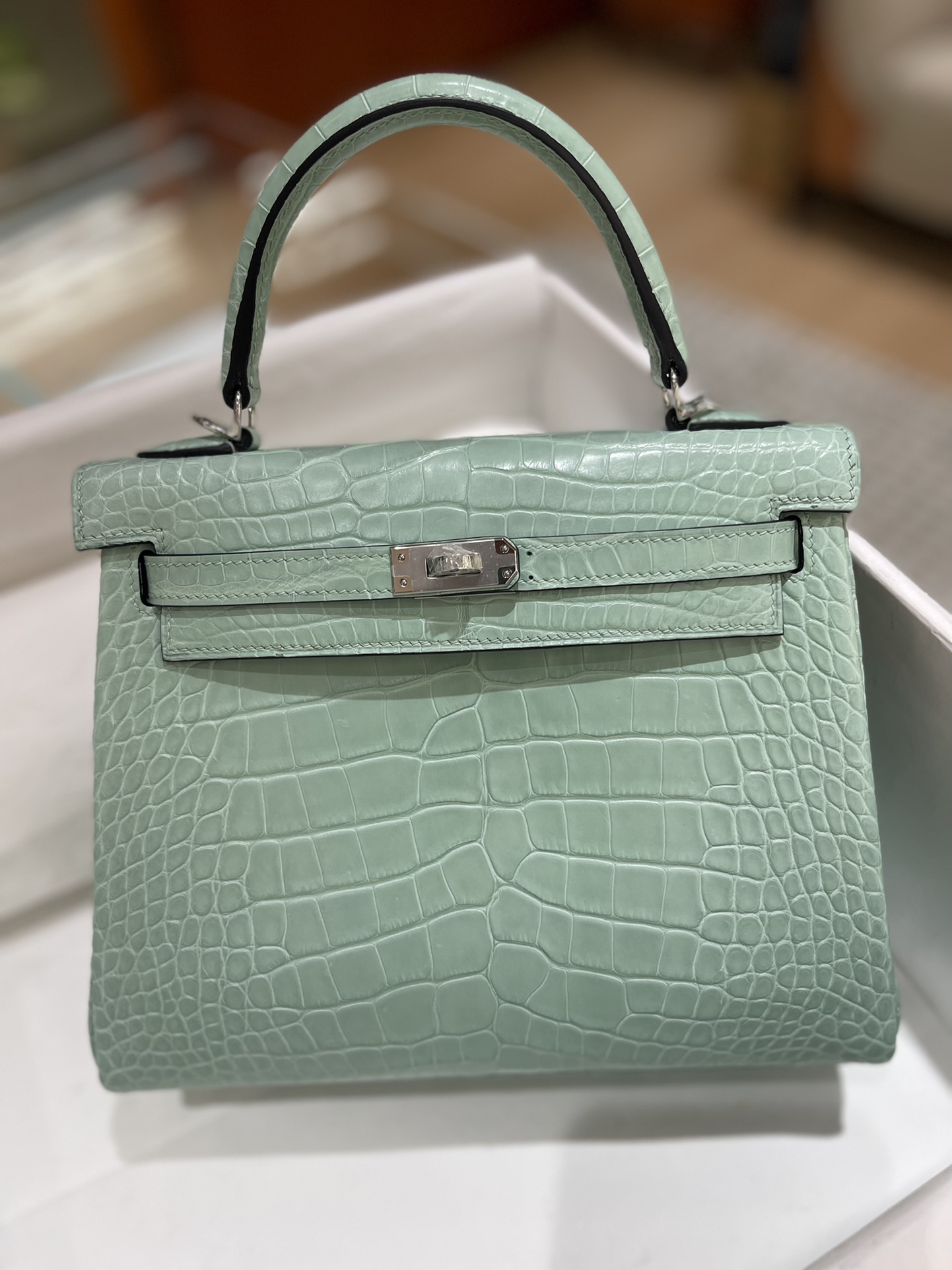 Hermes Kelly 25cm Handbag Shoulder Bag In Grey Green Shiny Crocodile Niloticus Leather